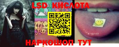 прущие крисы Будённовск