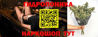 прущие крисы Будённовск