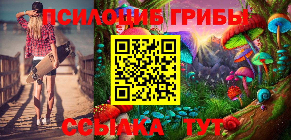 Шадринск  Псилоцибиновые грибы MAGIC MUSHROOMS  Вход с VPN  Псилоцибиновые грибы Cubensis 