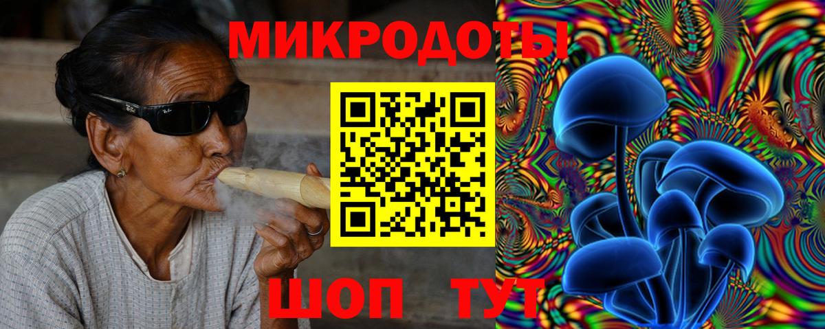 Галлюциногенные грибы Psilocybe Шадринск